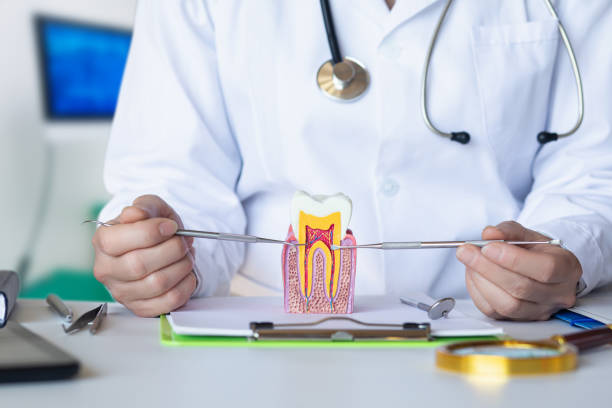 Best Emergency Dental Services for Seniors in Obion, TN